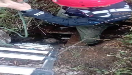 Foseptik çukuruna düşen köpeği itfaiye kurtardı