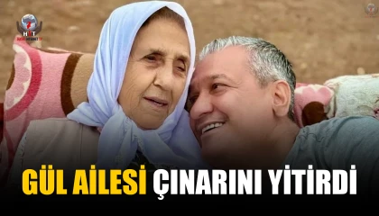 GÜL AİLESİ ÇINARINI YİTİRDİ