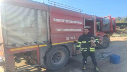 Hatayda 6 metrelik çukurda mahsur kalan yavru köpeği itfaiye kurtardı