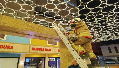 Hatayda duvar boşluğuna sıkışan kedi itfaiye ekiplerince kurtarıldı