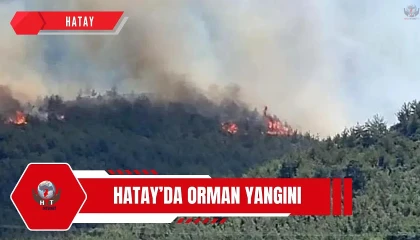 Hatayda orman yangını