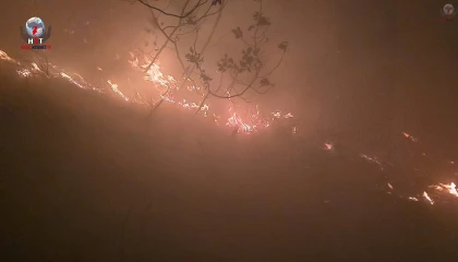 Hatayda yıldırımın düştüğü ormanlık alandaki yangın 16ncı saatte kontrol altına alındı