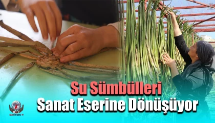 İstilacı su sümbülleri depremzede kadınların ellerinde sanat eserine dönüşüyor