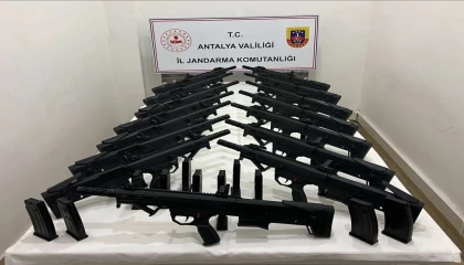 Jandarmadan silah kaçakçılığı operasyonu