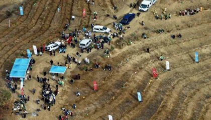 Kahramanmaraşta yanan alanlara fidanlar dikildi