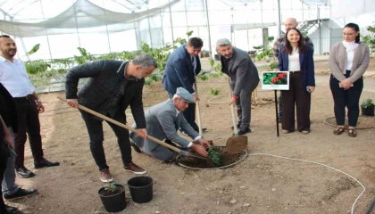 Kahve sadece adıyla değil üretimiyle de Türk olacak