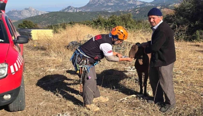 Kaya oyuğuna düşen ve 3 gün mahsur kalan keçi, film gibi operasyonla kurtarıldı