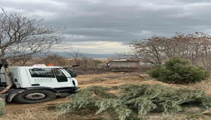 Kontrolden çıkan tır bariyerlere ve elektrik direğine çarparak tarlaya savruldu: 1 yaralı