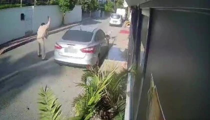 Köpeği silahla vuran emekli polis için 4 yıla kadar hapis talebi