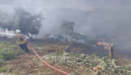Kumluda bahçe yangını