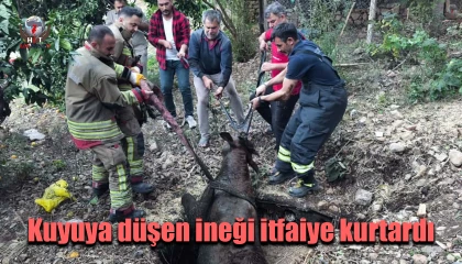 Kuyuya düşen ineği itfaiye kurtardı