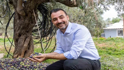 Manavgat Zeytin ve Zeytinyağı Festivalinin ikincisi 8 Kasımda başlıyor