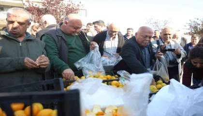 Mandalinanın fiyatı 2 TLye düşünce tonlarca ürünü vatandaşlara ücretsiz dağıttılar