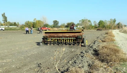 Mera alanları işgalden kurtarılıyor