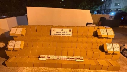 Mersinde kaçak makaron operasyonu: 2 gözaltı