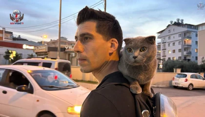 ‘Nasıl kaçmıyor’ diyenler olsa da ‘Duman’ sahibinin omzunda kenti turluyor