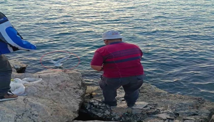Oltaya bu kez balık yerine martı takıldı