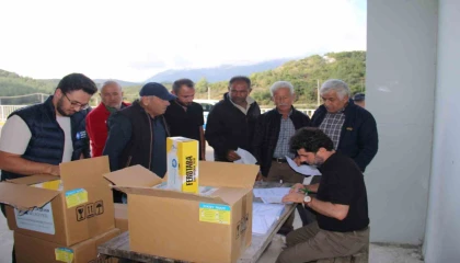 Organik tarıma mavi ve sarı yapışkan tuzak desteği