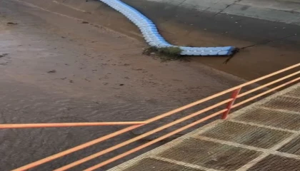 Osmaniyede baraj kapakları açıldı, yüzlerce balık telef oldu