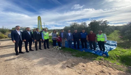 Osmaniyede zeytin festivali