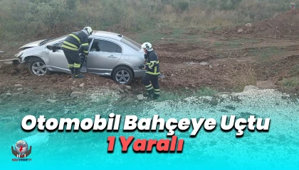 Otomobil zeytin bahçesine uçtu: 1 yaralı