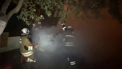 Park halindeki otomobil alevlere teslim oldu