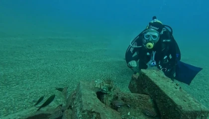 Profesör deniz dibinde taşlardan balıklara yuva yaptı: 12 tür barış içinde yaşıyor