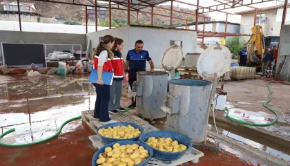Sağlıksız şartlarda patates dilimleyen işletme mühürlendi