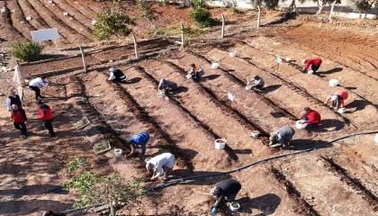 Salep toprakla buluşturuldu