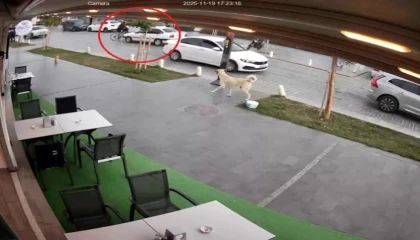 Yolun karşısına geçmek isteyen bisikletliye otomobil çarptı: 1 yaralı