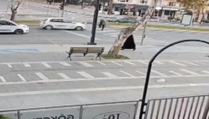 Yolun karşısına geçmeye çalışan yayaya otomobil çarptı