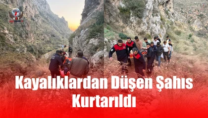 Yürüyüş esnasında kayalıklardan düşen şahıs yaralandı
