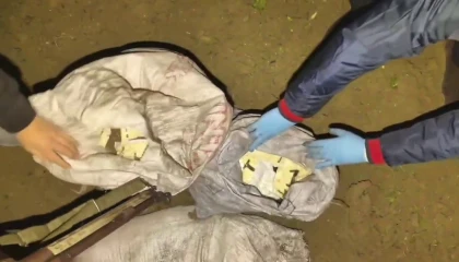 Zeytin bahçesinde torba içerisinde binlerce uyuşturucu hap ele geçirildi