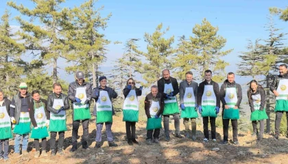 Adanada bir yılda 50 ton sedir tohumu toprakla buluştu