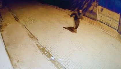 Adanada evin camlarına taş atıp kaçtı: O anlar kamerada