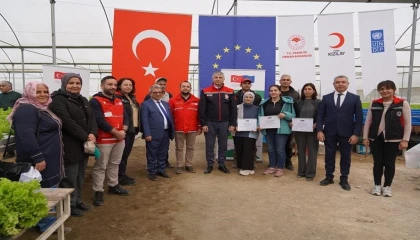 Adanada topraksız marul yetiştiriciliği başladı