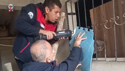 Antakyada kedi kurtarma operasyonu