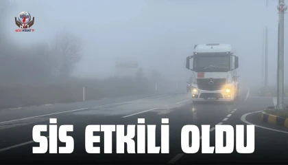 Antakyada sis etkili oldu