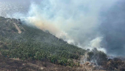 Antalyada muz bahçesinde yangın