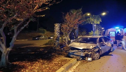 Antalyada palmiyeye çarpan otomobilin sürücüsü yaralandı