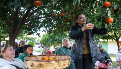 Antalyanın turunçları Korkutelinden sofralara uzanıyor