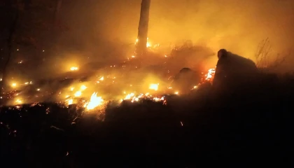 Bozyazıda çıkan orman yangını kontrol altına alındı