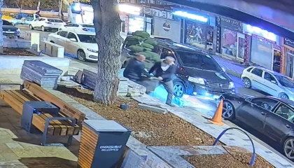 Bu da ağaç hırsızlığı: Parktaki ağacı araçla çaldılar