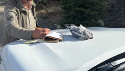 Burdurda kaçak avcılar ekiplere yakalandı