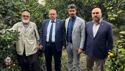 ÇALIŞKAN: MİLLİ NARENCİYE POLİTİKASI ŞART