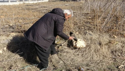 Çamurlu ayakkabısını çıkarıp markette alışveriş yapmıştı: Yine olsa yine yaparım