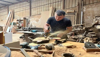 Çürümüş zeytin ağaçlarını sanat eserine dönüştürüyor