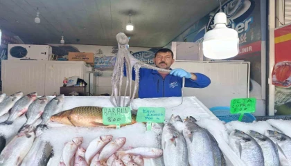 Denize kıyısı olmayan Kahramanmaraşta balığa yoğun ilgi