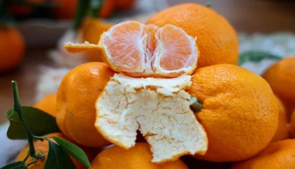 En ucuz meyve mandalina: Dalında 3, pazarda 5 lira