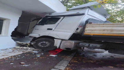 Freni boşalan tır, direk ve otomobile ardından fırına çarptı: 5 keçi telef oldu